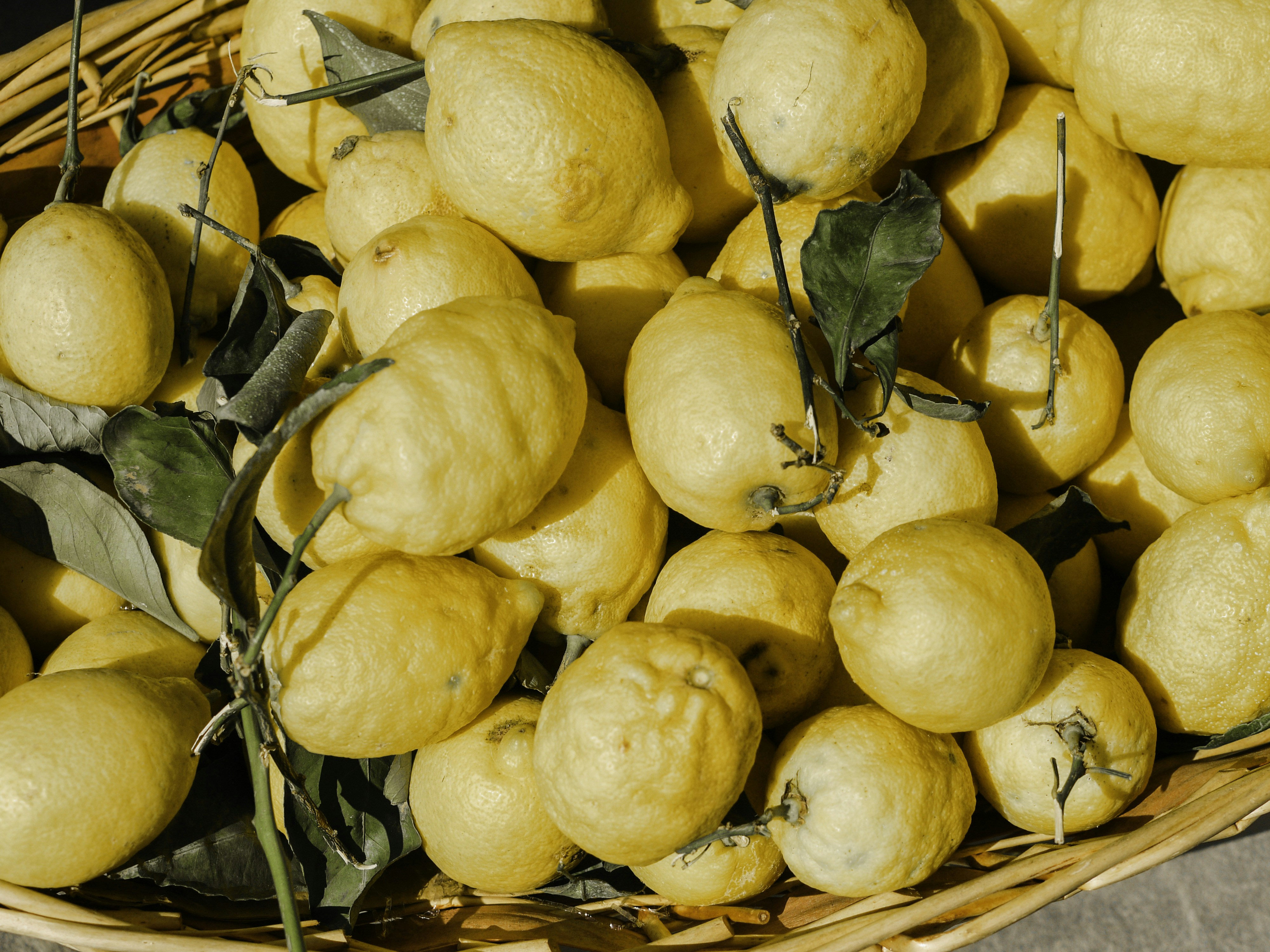Lemons!
